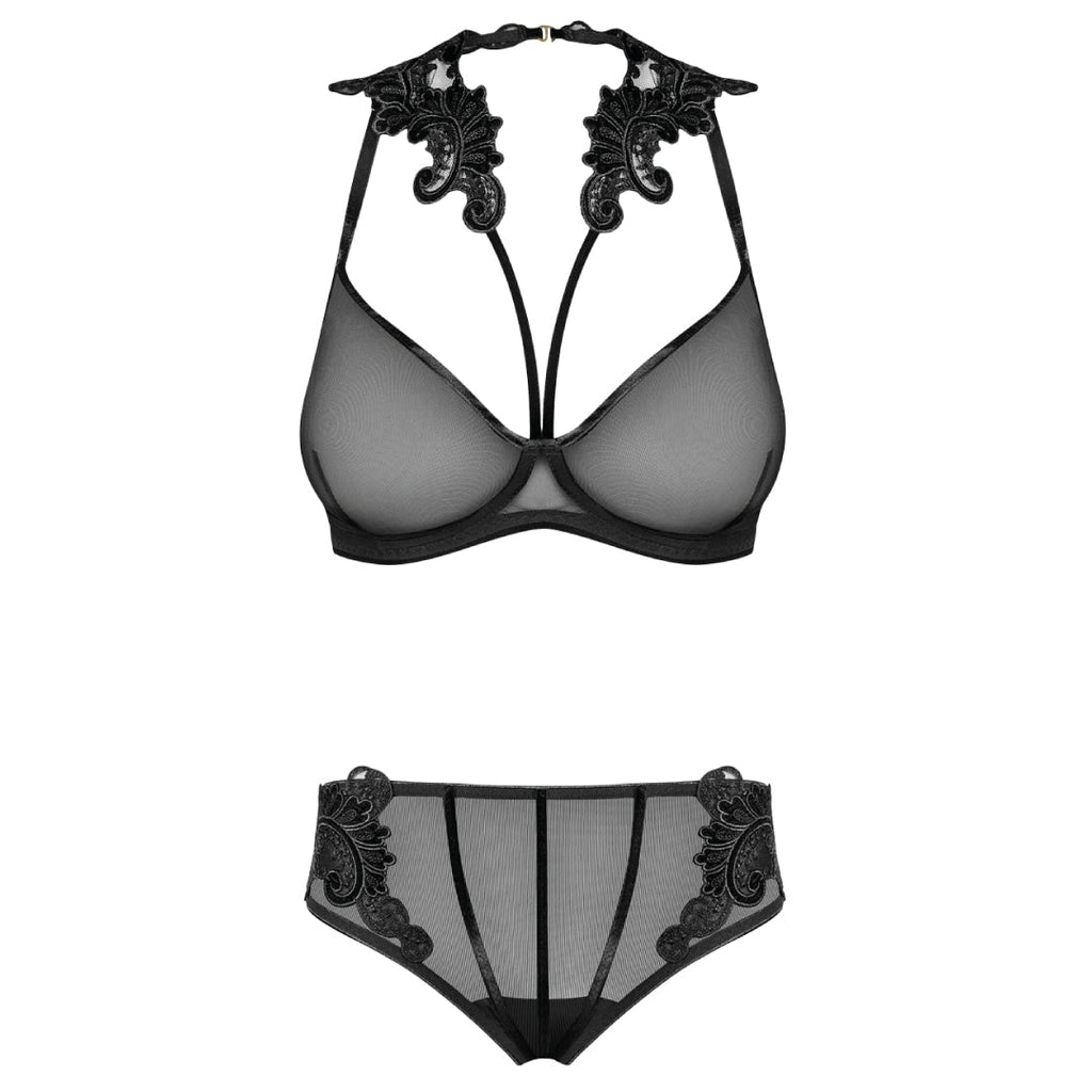 Sexy Sheer Demi Bra & Mesh Bikini Panty Set Majesty