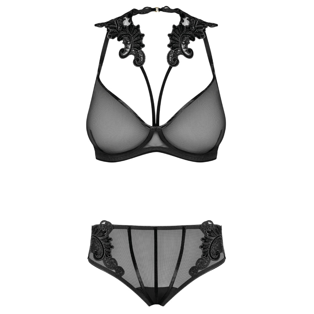 Sexy Sheer Demi Bra & Mesh Bikini Panty Set Majesty