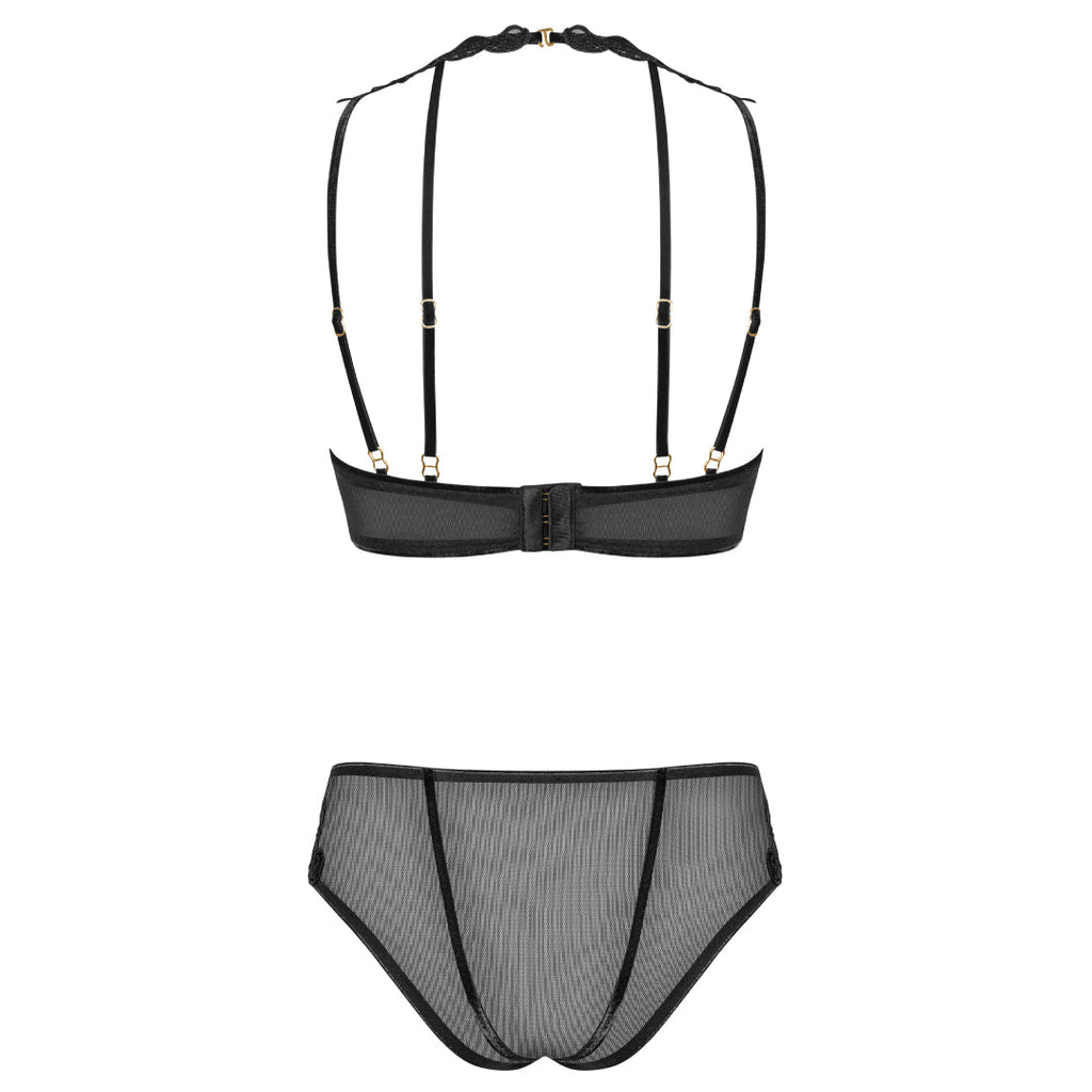 Sexy Sheer Demi Bra & Mesh Bikini Panty Set Majesty