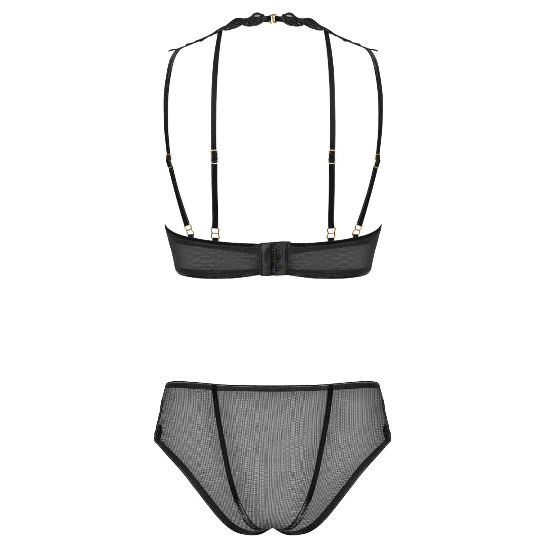 Sexy Sheer Demi Bra & Mesh Bikini Panty Set Majesty