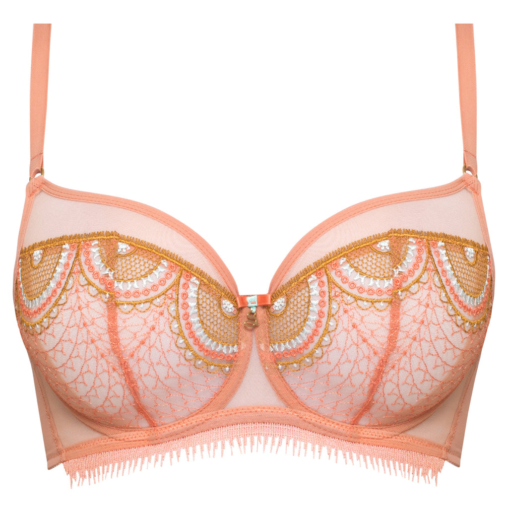 Sheer Mesh Embroidered Full Coverage Bra Lea