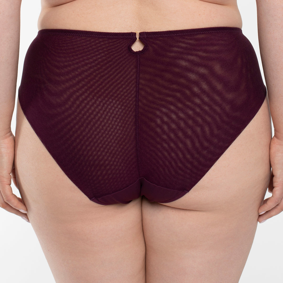 Sheer Mesh Tulle Embroidered Brief Panty Perla Aubergine