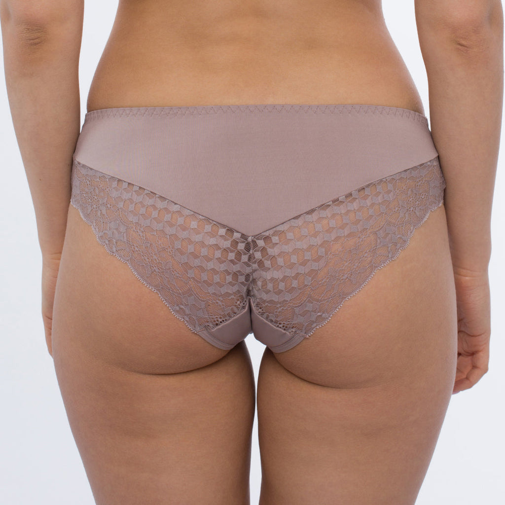 Sheer Mesh Tulle Lace Brief Panty Rosalia