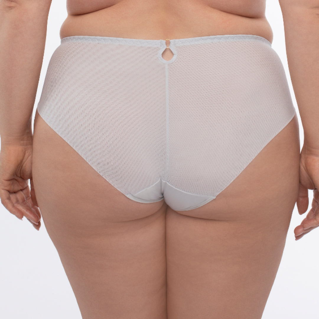 Sheer Mesh Tulle Embroidered Brief Panty Sweet