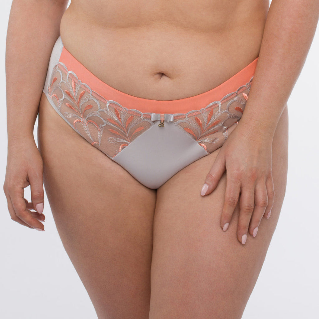 Sheer Mesh Tulle Embroidered Brief Panty Sweet