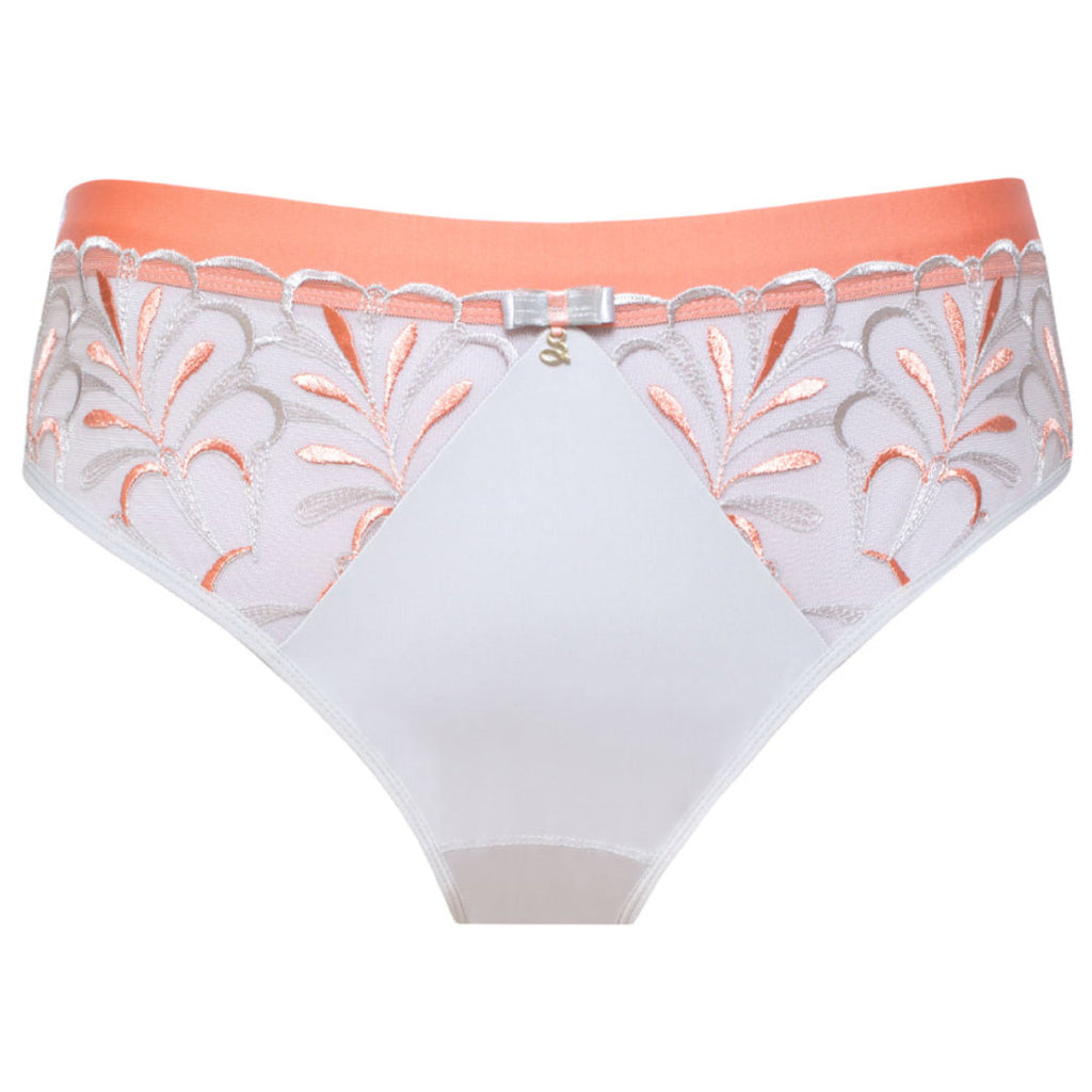 Sheer Mesh Tulle Embroidered Brief Panty Sweet