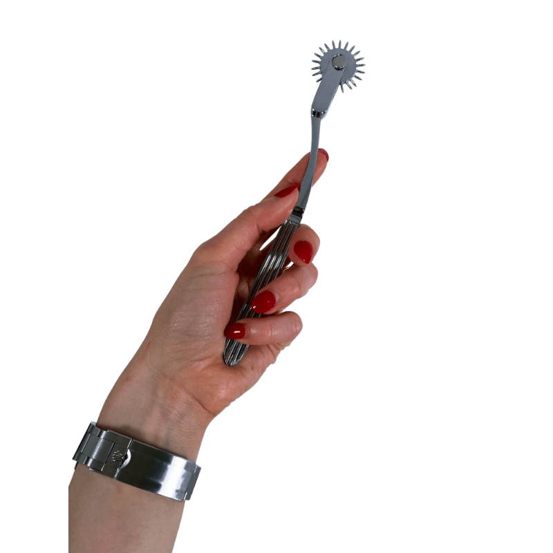 BDSM Pinwheel Sex Toy - Wartenberg wheel for Sensation Play| VforVibes