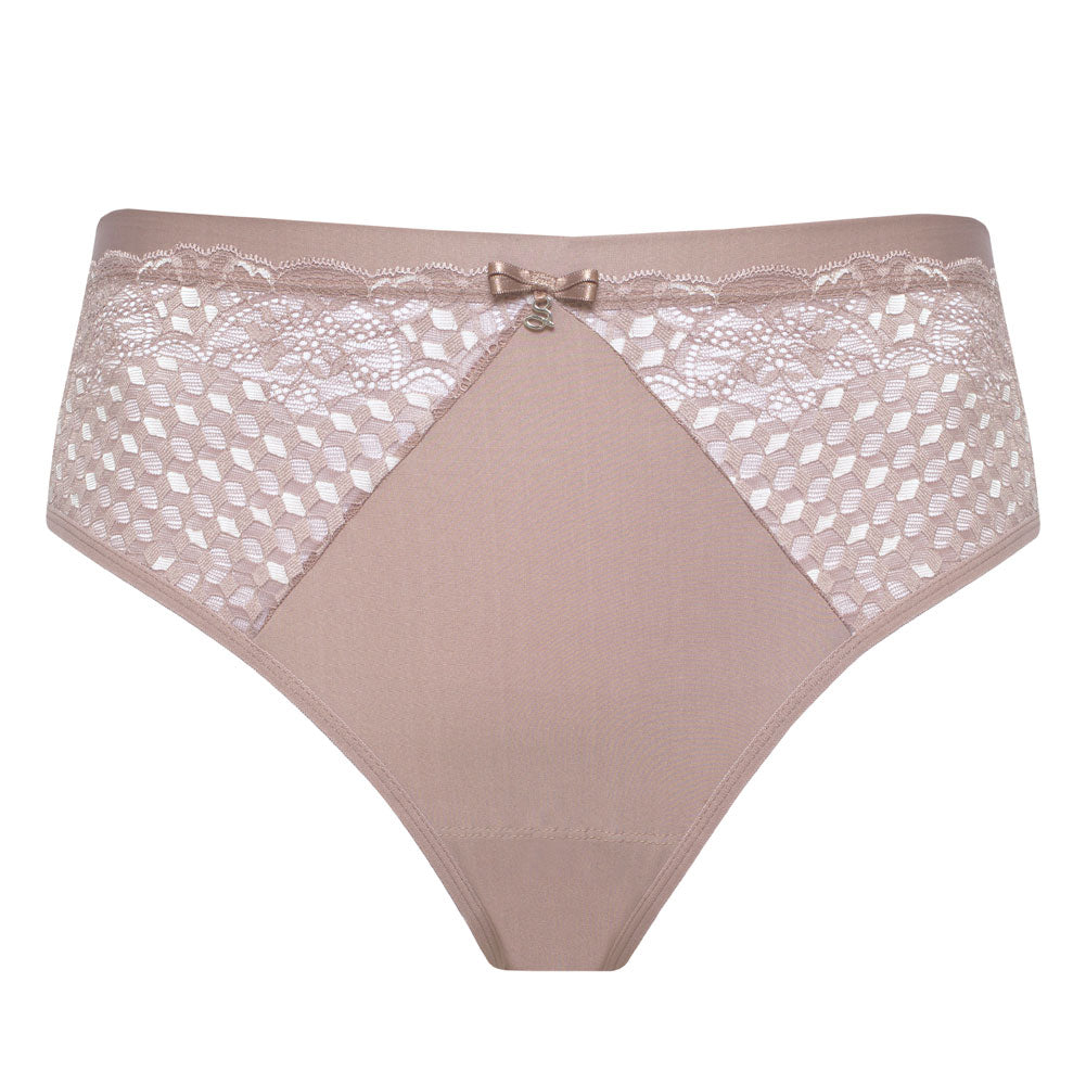 Sheer Mesh Tulle Lace Brief Panty Rosalia